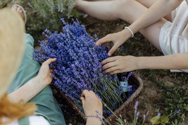 Five Reasons to Try a Lavender Sleep Spray