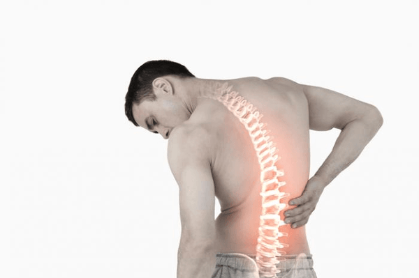 CBD Cream and Back Pain: All You Need to Know Now