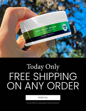 Today Only! Free Standard Shipping on All Orders